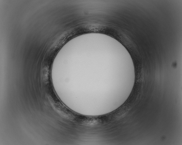 X0000116550646200912311912