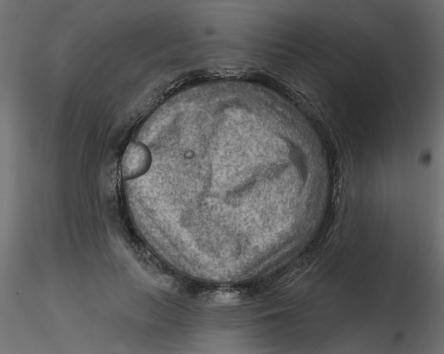 X0000116550647200912311912