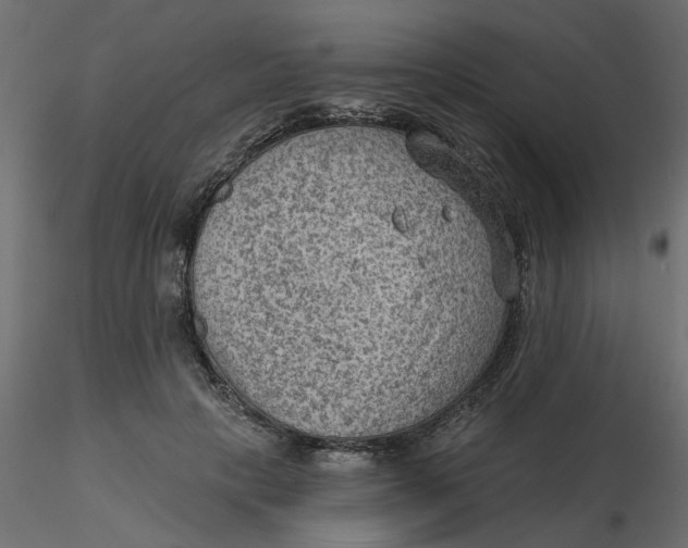 X0000116550649200912311912