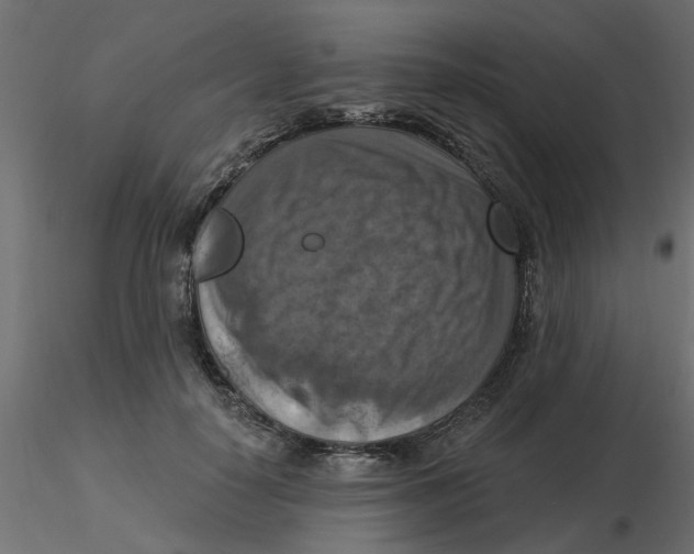 X0000116550650200912311912