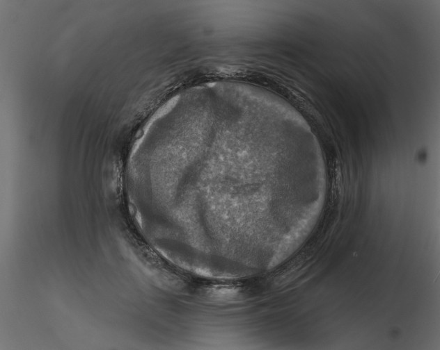 X0000116550651200912311912