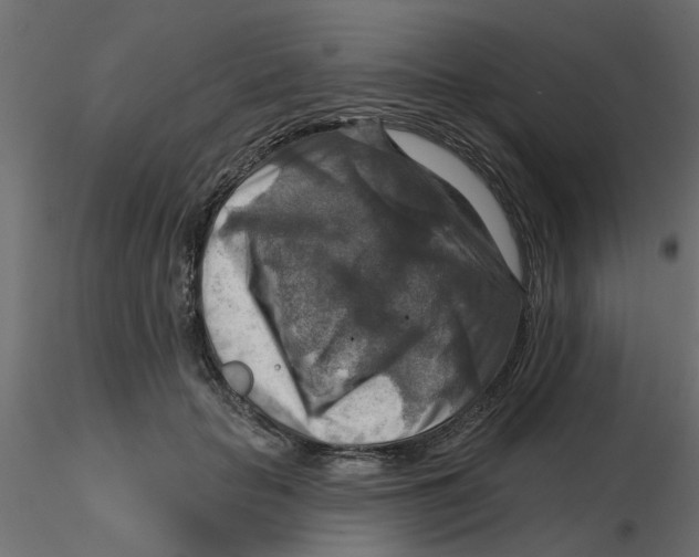 X0000116550653200912311912