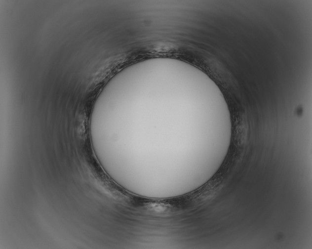 X0000116550654200912311912