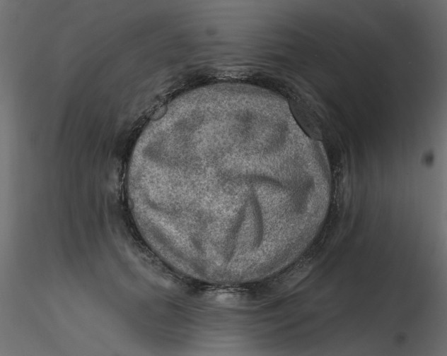 X0000116550655200912311912