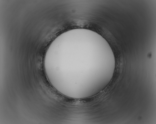 X0000116550656200912311912