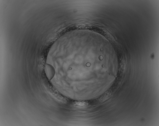 X0000116550659200912311912