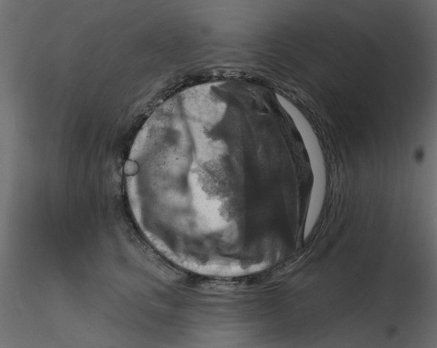 X0000116550661200912311913