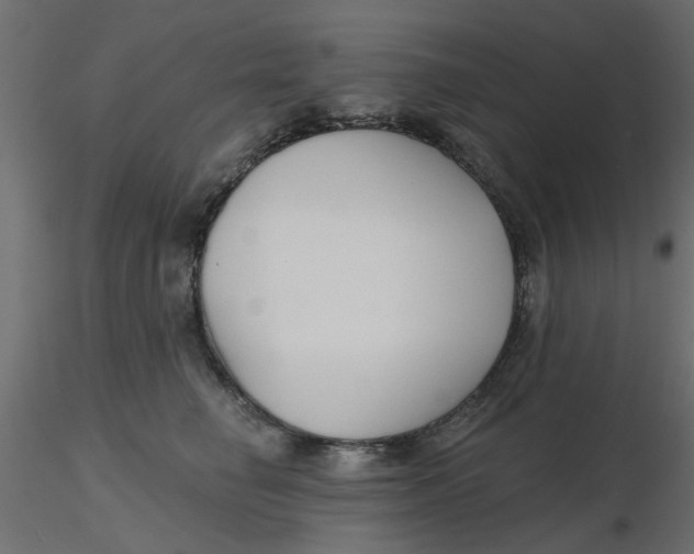 X0000116550662200912311913