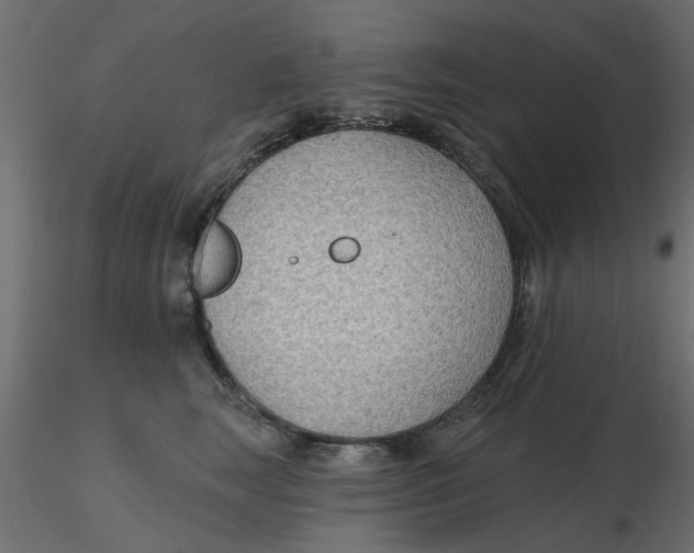 X0000116550663200912311913