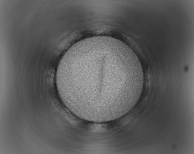 X0000116550664200912311913