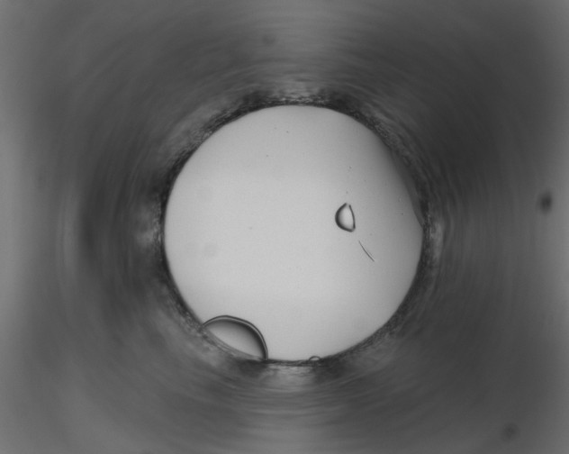 X0000116550665200912311913