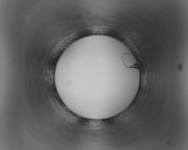 X0000116550666200912311913