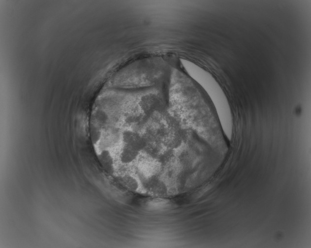 X0000116550669200912311913