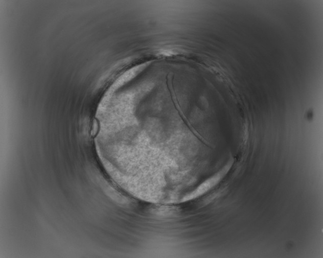 X0000116550670200912311913