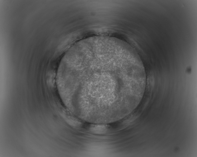 X0000116550671200912311913