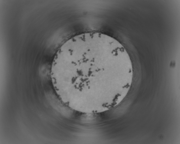 X0000116550672200912311913