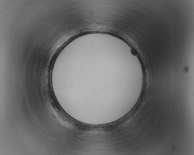 X0000116550674200912311912