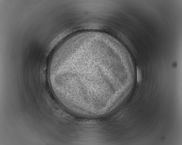 X0000116550675200912311912