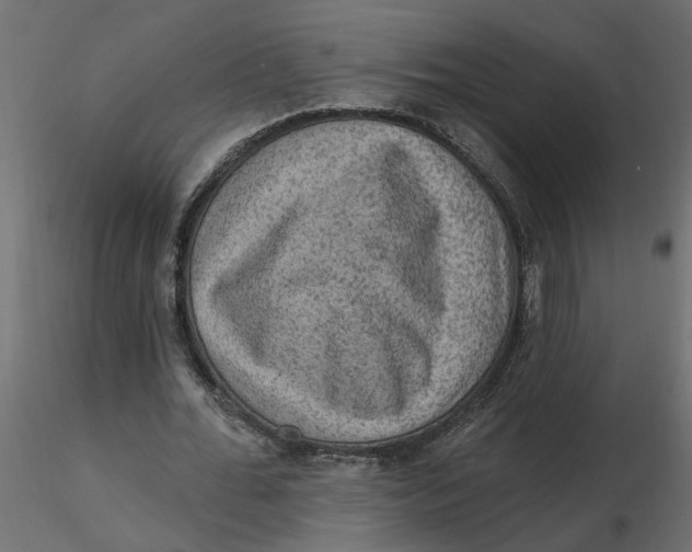 X0000116550676200912311912