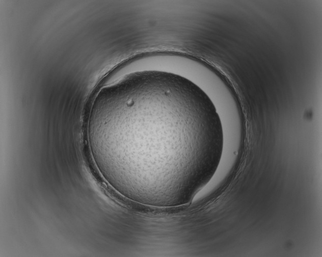 X0000116550677200912311912