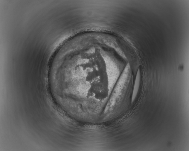 X0000116550679200912311912