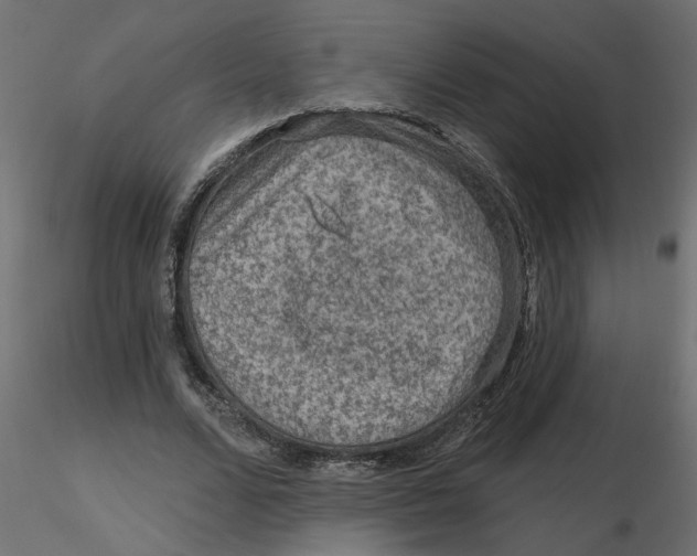 X0000116550680200912311912