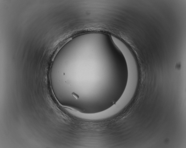 X0000116550681200912311912