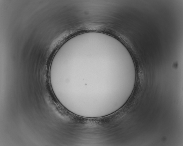 X0000116550682200912311912