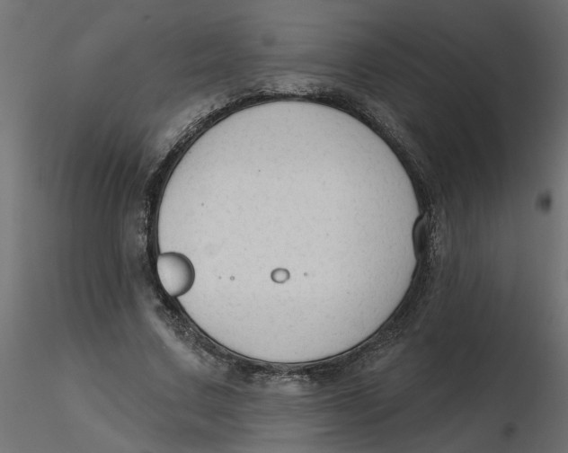 X0000116550683200912311912