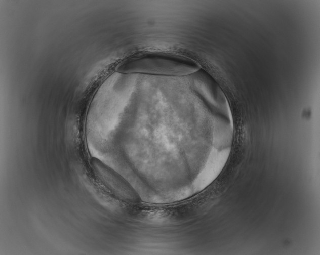 X0000116550688200912311912