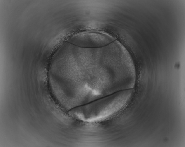 X0000116550689200912311912