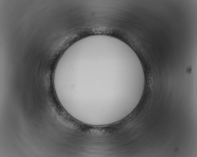 X0000116550690200912311912