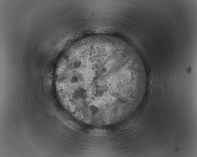 X0000116550691200912311912