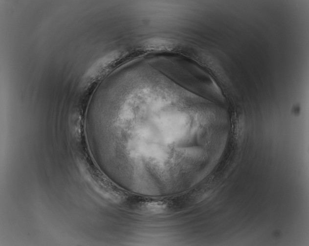 X0000116550692200912311912