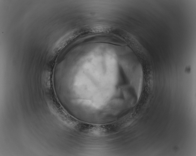 X0000116550696200912311912