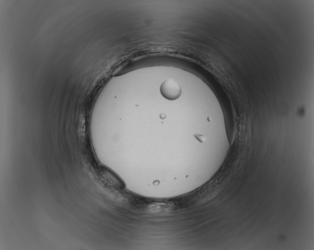 X0000116550700200912311912