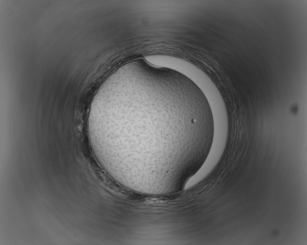 X0000116550701200912311912