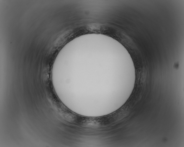 X0000116550702200912311912