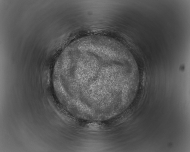 X0000116550703200912311912