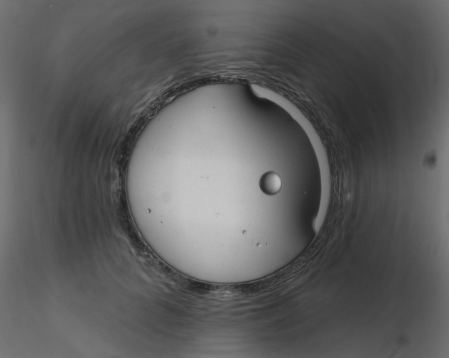 X0000116550704200912311912