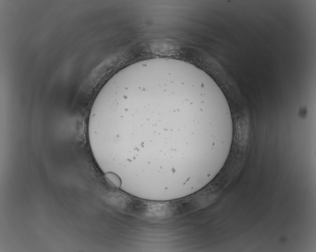 X0000116550705200912311912