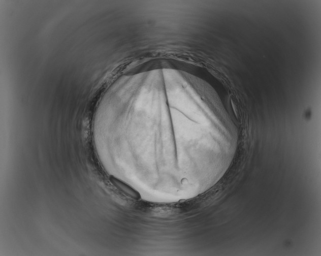 X0000116550708200912311912