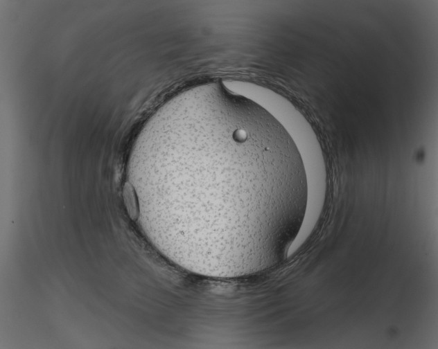 X0000116550709200912311912