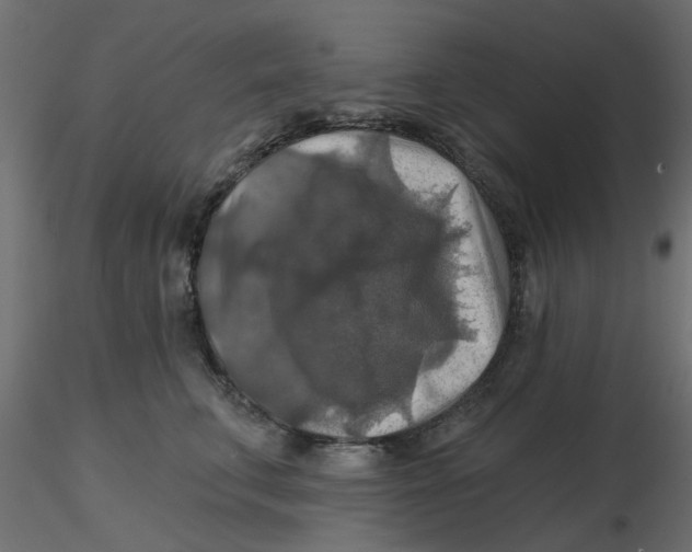 X0000116550711200912311911