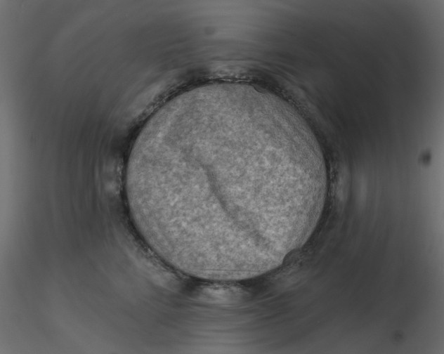 X0000116550712200912311911