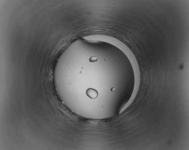 X0000116550713200912311911