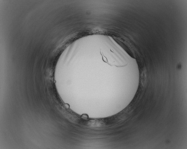 X0000116550714200912311911