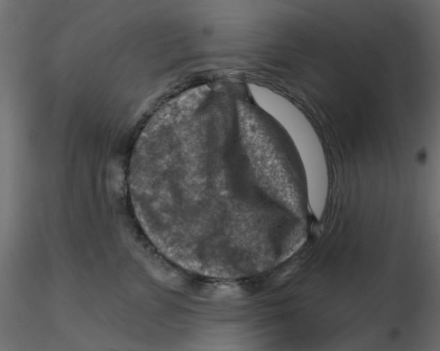 X0000116550715200912311911