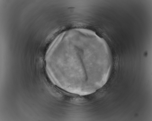 X0000116550716200912311911