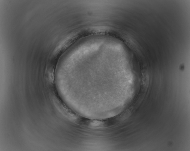 X0000116550718200912311911